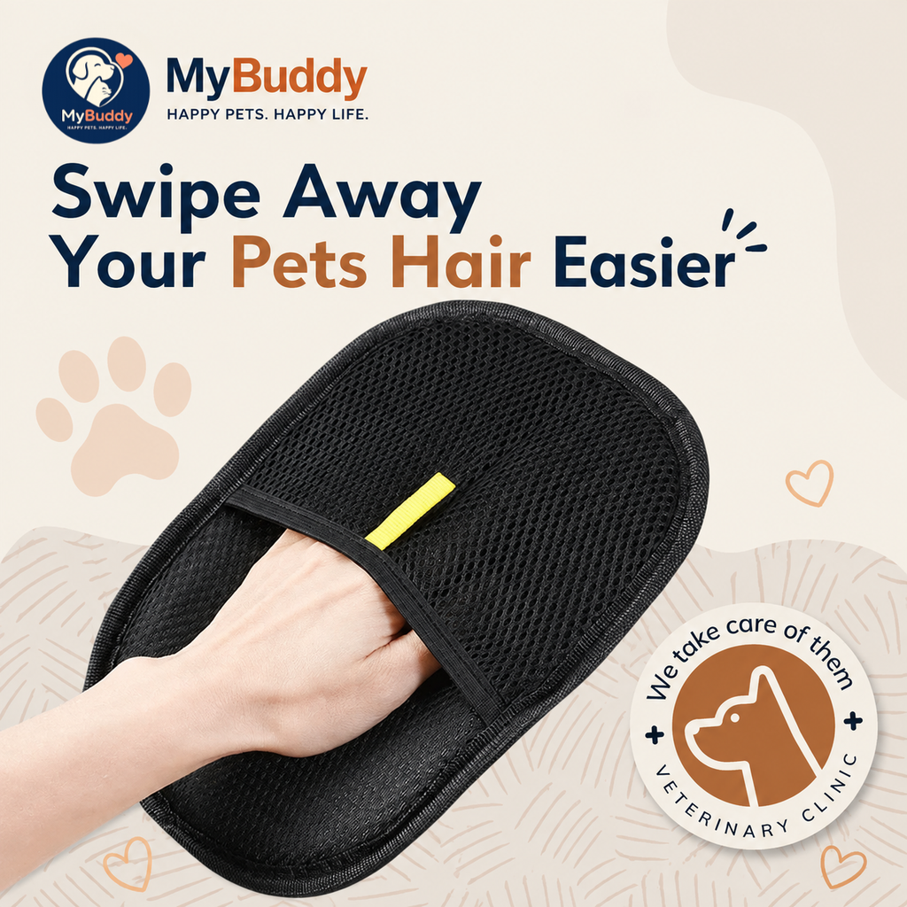 MyBuddy Pet Hair Removal Glove