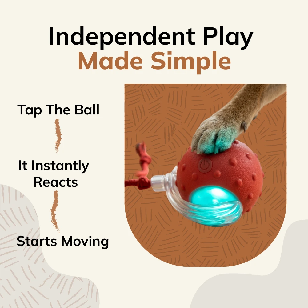 MyBuddy Interactive Rolling Ball