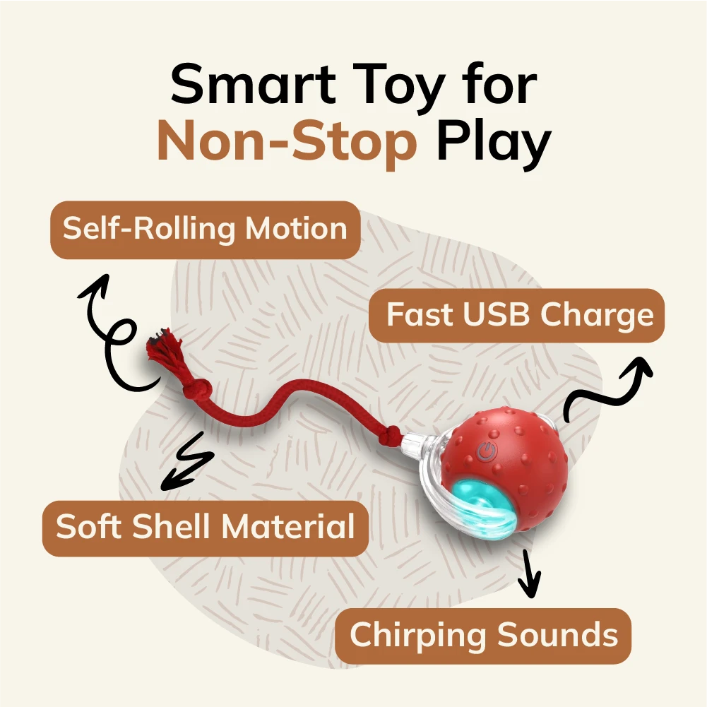 MyBuddy Interactive Rolling Ball