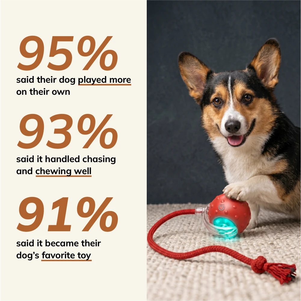 MyBuddy Interactive Rolling Ball