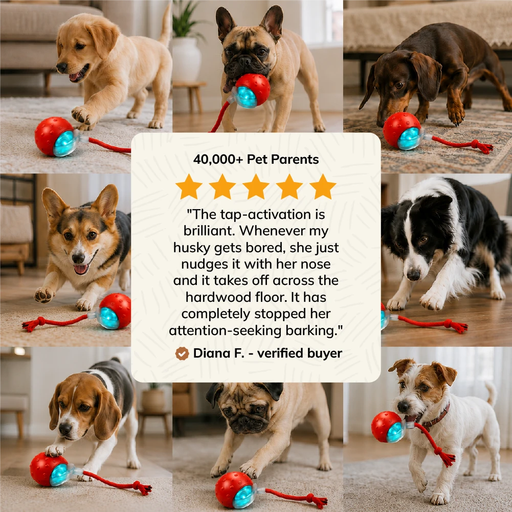 MyBuddy Interactive Rolling Ball